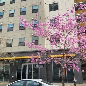 Meet your Posher, Griselda